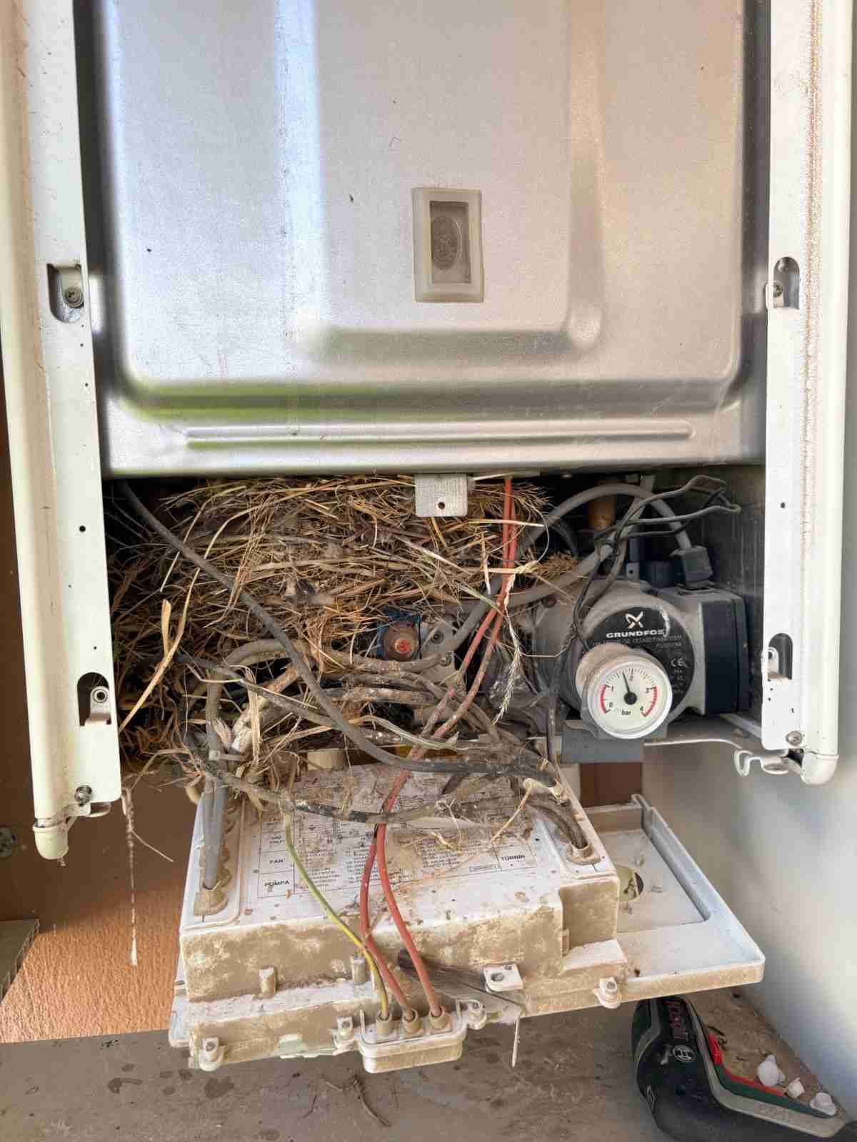 Kombi brülör bölmesinde biriken kuş yuvası ve çöp